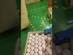 maszyna do druku seryjnego i pakowania